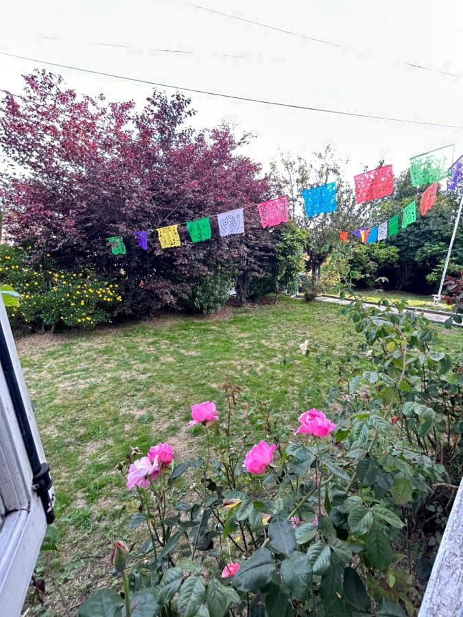 Purple Fox Hotel Ancud Bagian luar foto