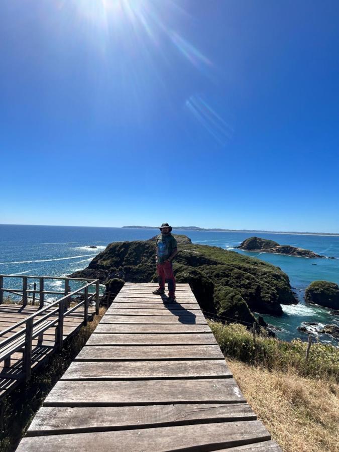 Purple Fox Hotel Ancud Bagian luar foto
