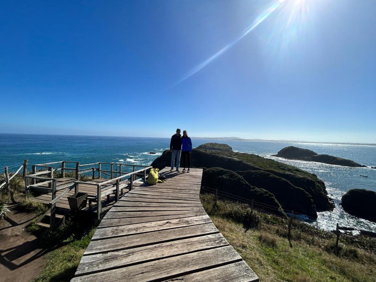 Purple Fox Hotel Ancud Bagian luar foto