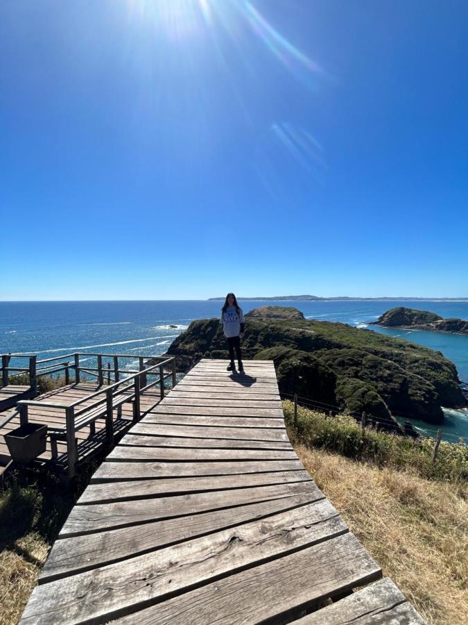 Purple Fox Hotel Ancud Bagian luar foto